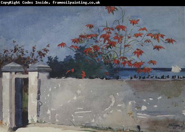 Winslow Homer A Wall,Nassau (mk44)